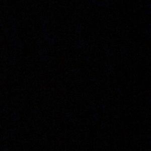 Meet your Posher, Abigail